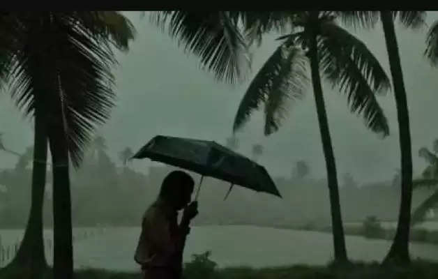kozhikode rain 