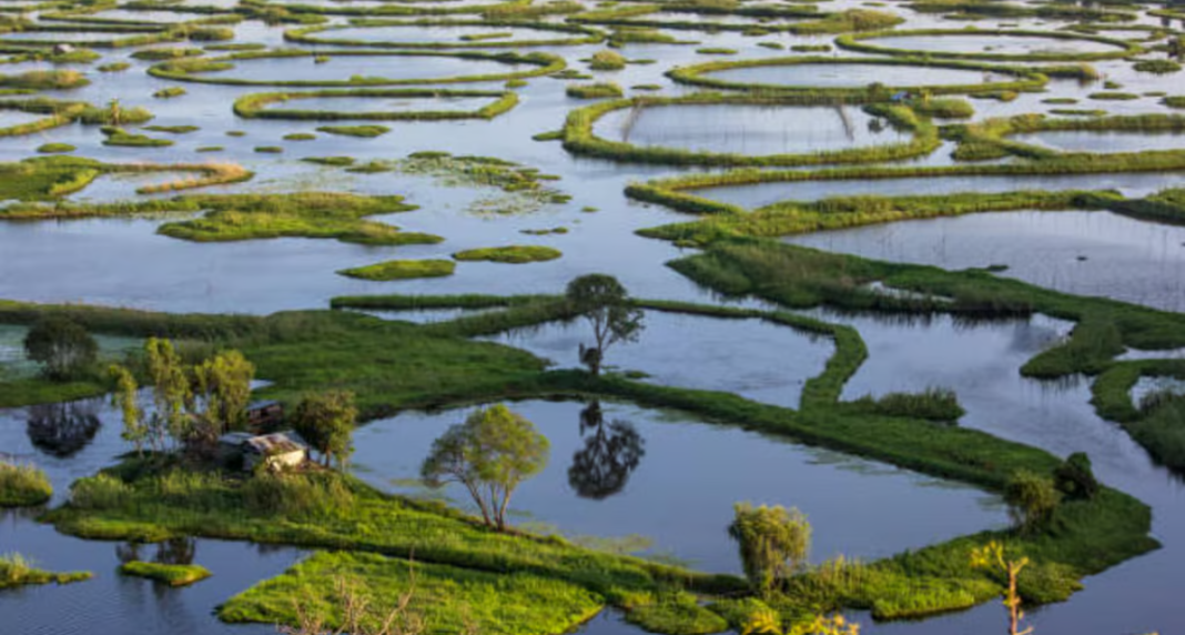 Keibul Lamjao National Park
