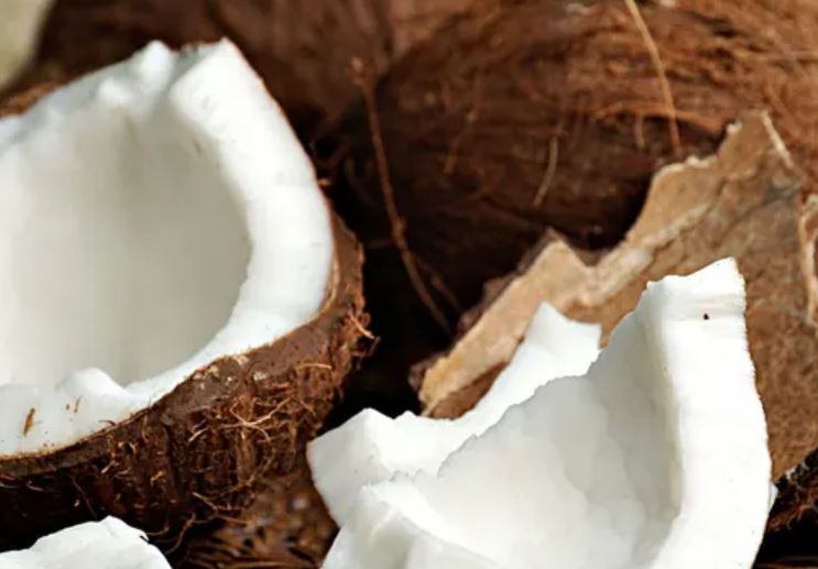 Union Budget 2026-27, Coconut Promotion Scheme for Coconut Farmers
