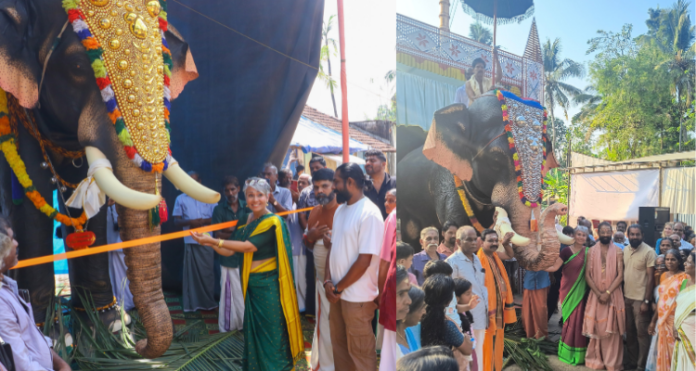 Copy of Copy of timeskerala news (21) Robotic Elephant Kerala