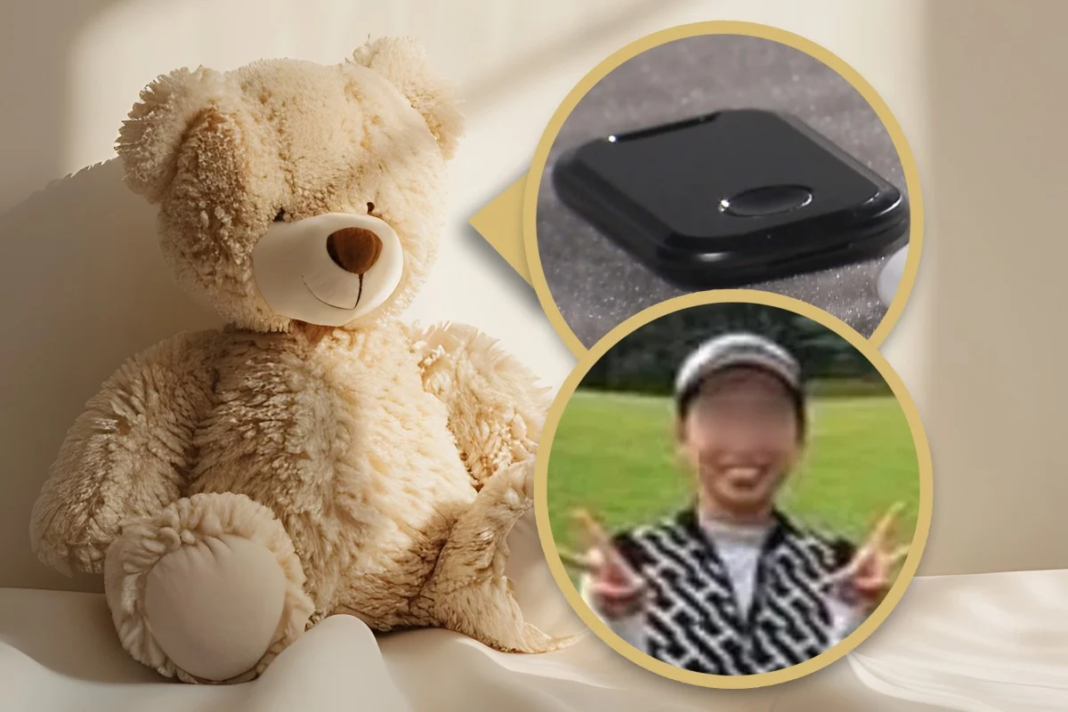 Japan GPS murder case