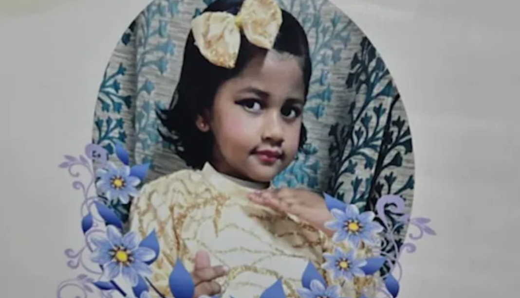 Delhi Hit and Run Case