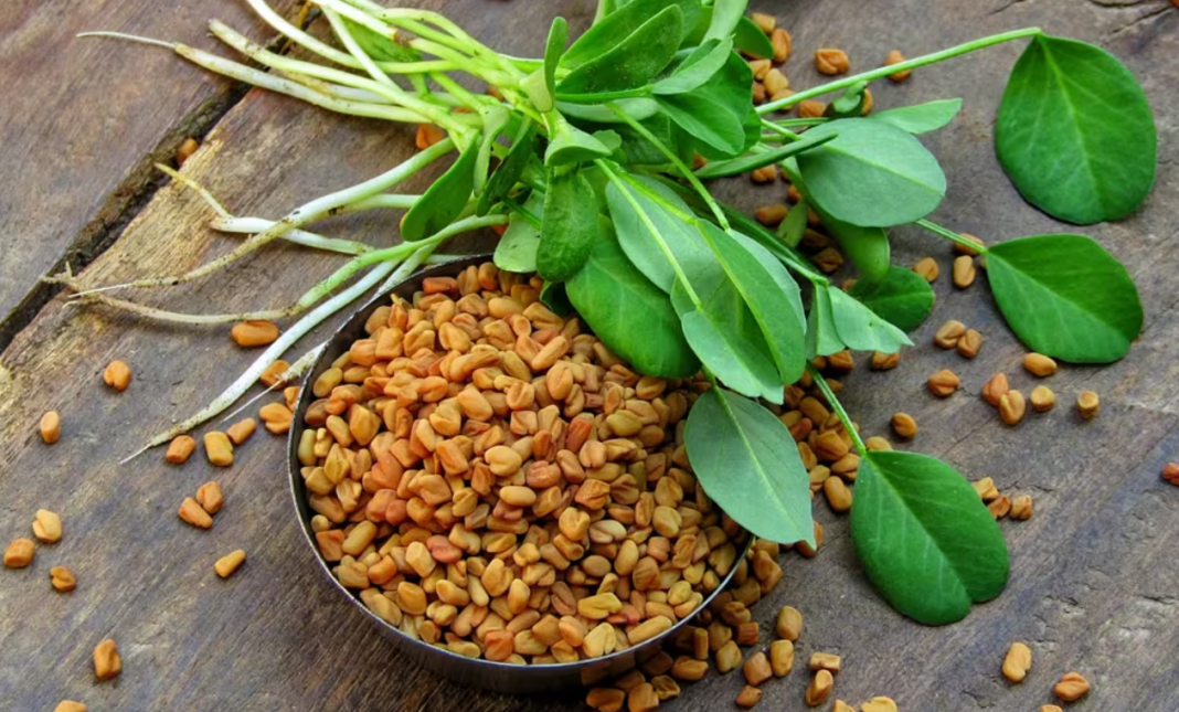 Fenugreek