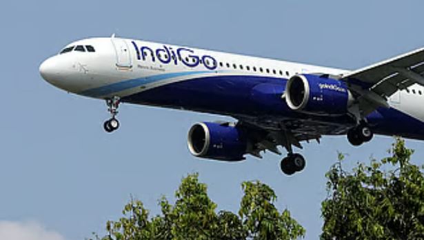 IndiGo
