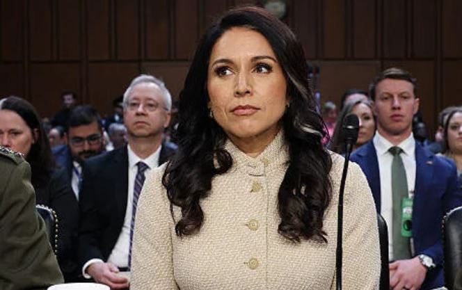 Tulsi Gabbard