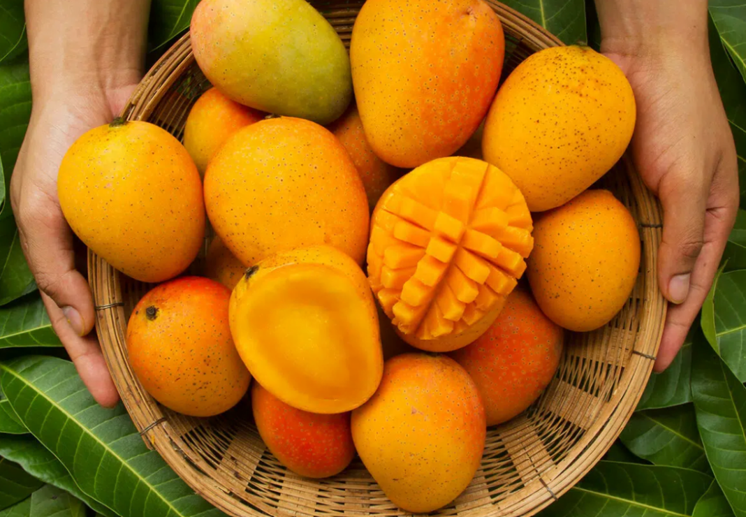 Mangoes for skin health 