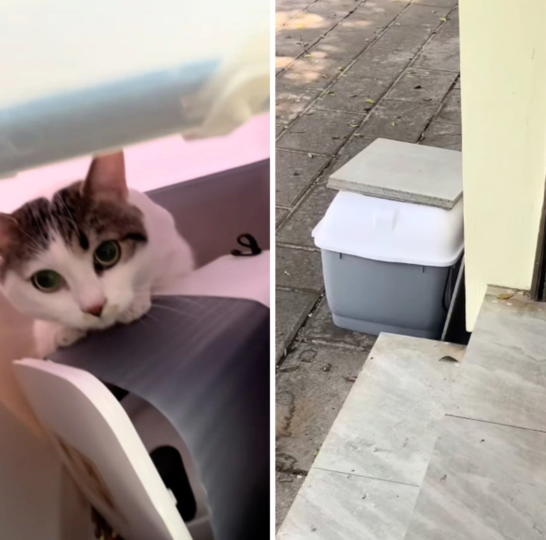 China Elderly Man Abandons Cat Note Cash