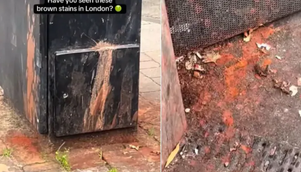 London Brent Council Fine Paan Spitting