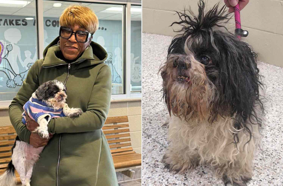 Lost Dog Reunited Ohio