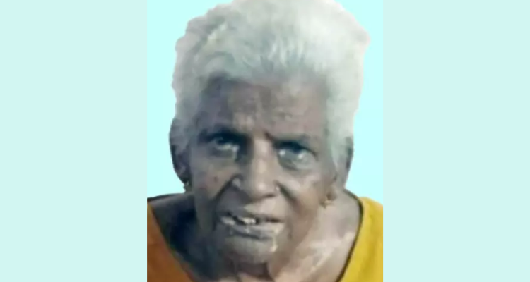 Erumappetty stray dog attack news