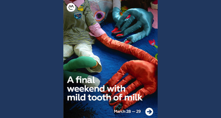 Afra Eisma Kochi Biennale