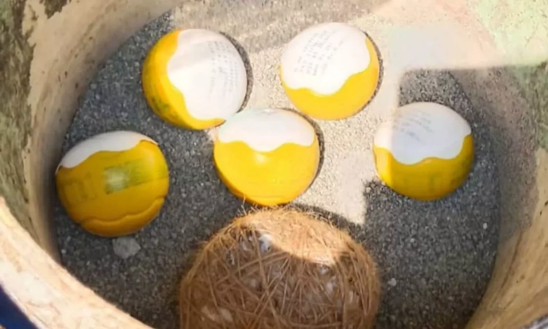 Thalassery Bomb Found