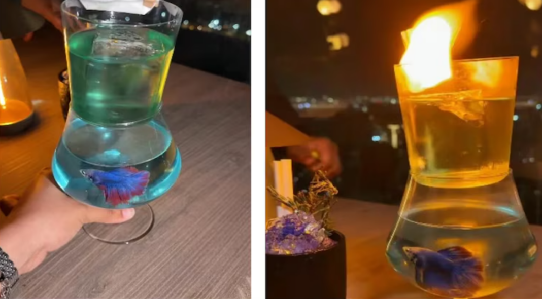 Sanjay Dutt Mumbai Restaurant Controversy