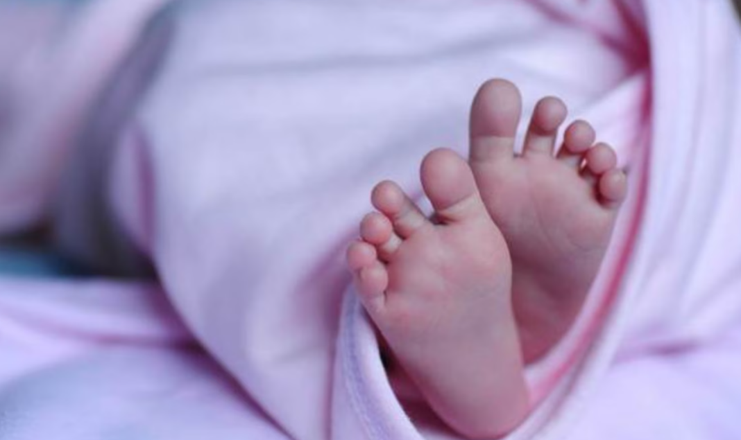 Newborn Death Andhra Pradesh Hospital