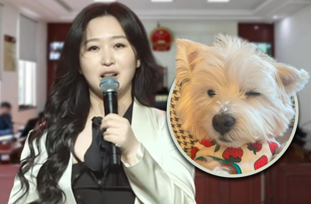 China Pet Dog Poisoning Case