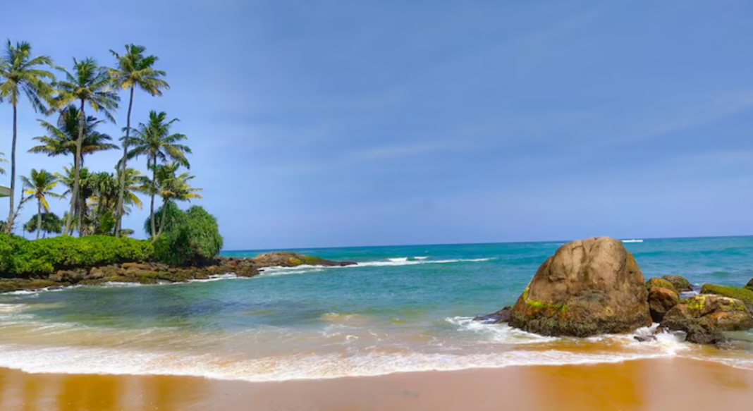 Sri Lanka Clean Beaches Viral Video