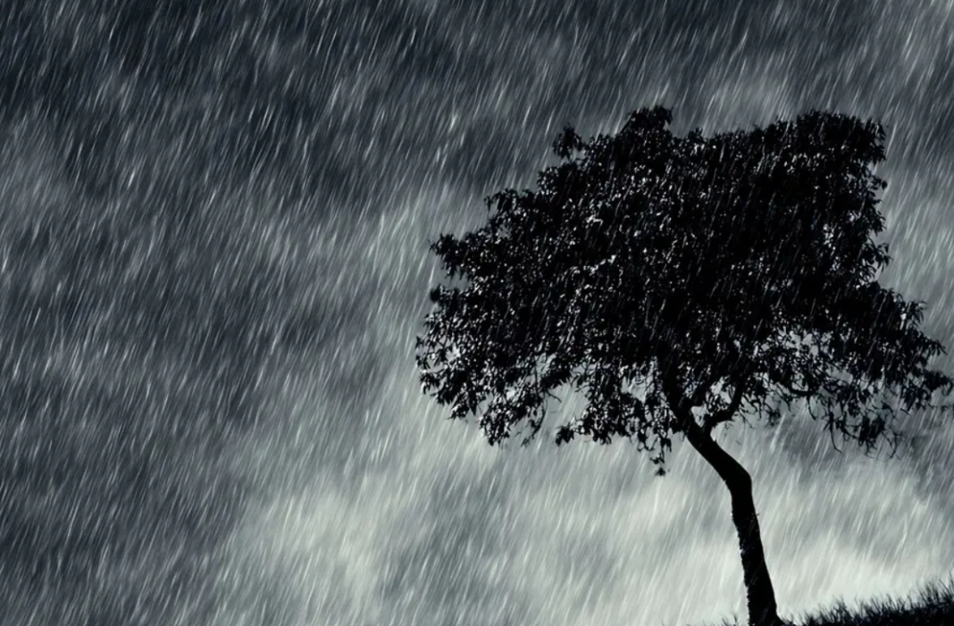 The Rain-Making Experiments