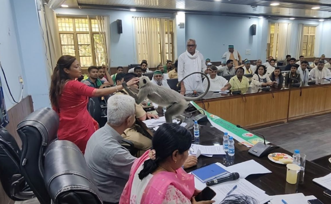 UP IAS Officer Pet Langur Video