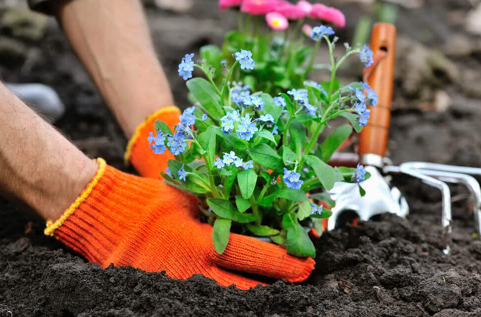 Eco-friendly Gardening Tips