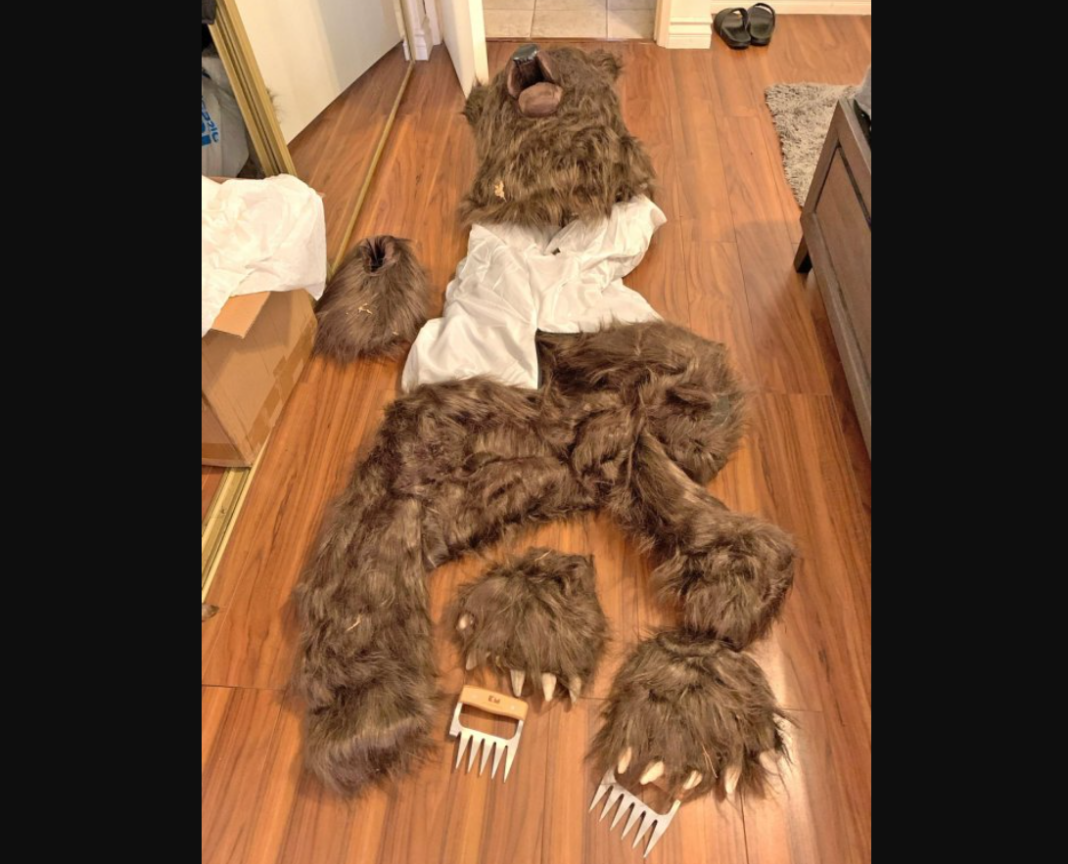 Insurance Fraud California Bear Suit