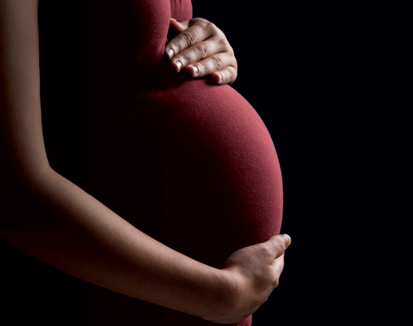 Allahabad High Court Maternity Leave Ruling