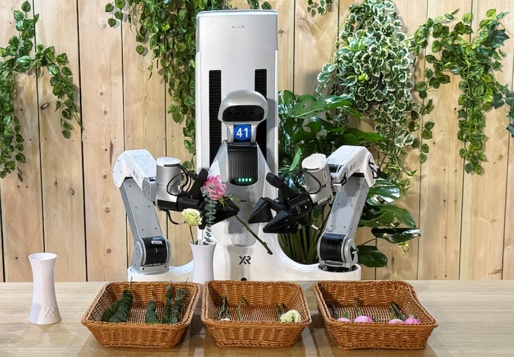 Chinese Household Robots