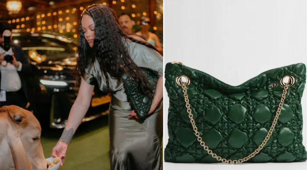 Rihanna Feeding Cow Controversy