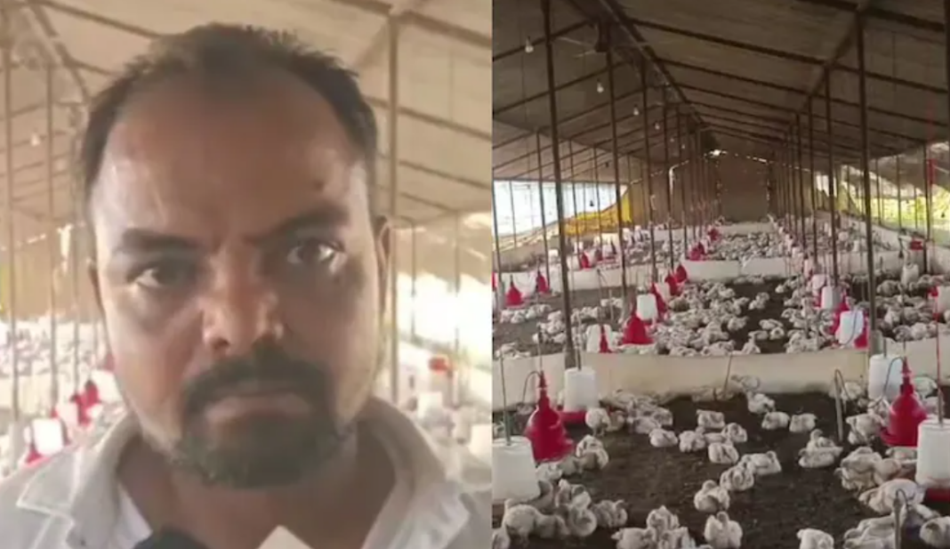 140 Chickens Dead UP