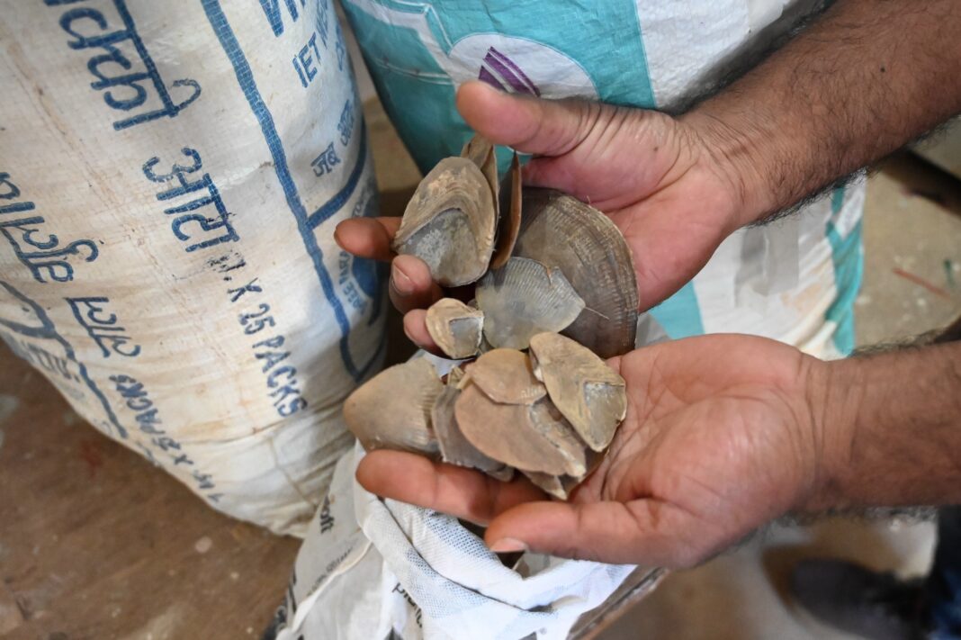 DRI Pangolin Scales Seizure Jagdalpur