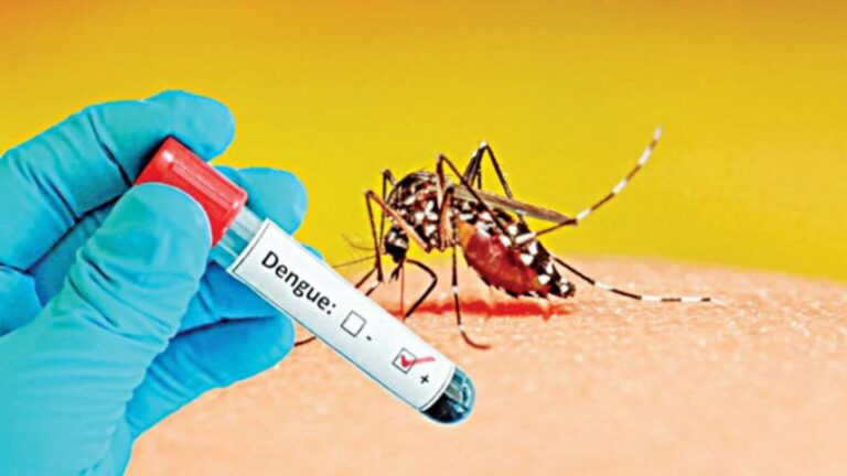 Dengue fever