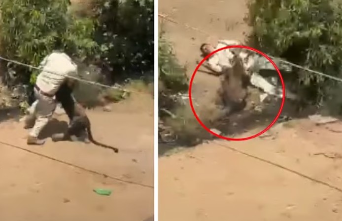 Leopard attack Dhar MP