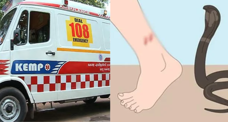Snakebite Treatment Kerala