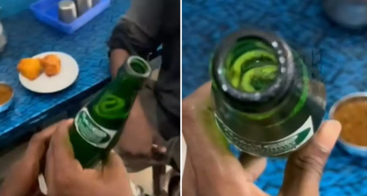 Snake in Soda Bottle