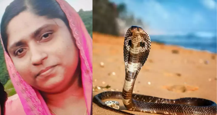 Kayamkulam Snake Bite