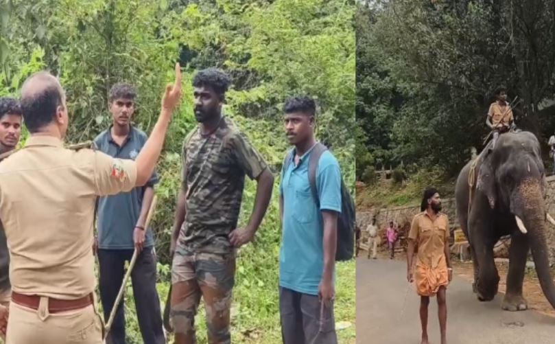 Wayanad Wild Elephant Attack
