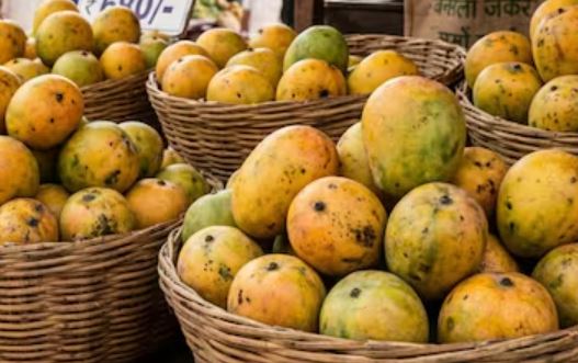 Japan Suspends Indian Mango Imports