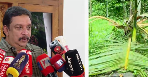 Man Killed In Wild Elephant Attack