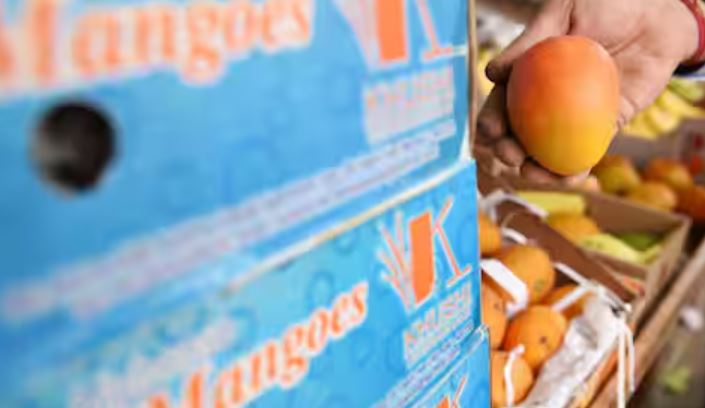 Indian Mango Craze In America