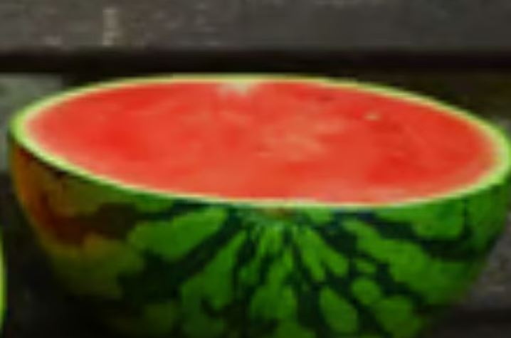 Chhattisgarh Watermelon Death