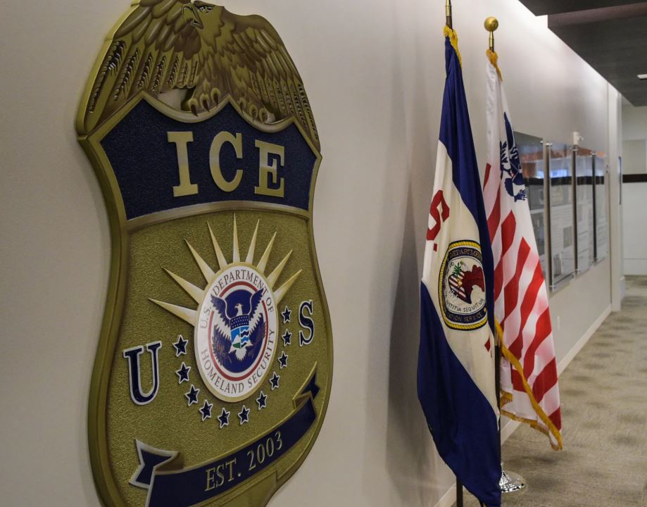OPT visa fraud US