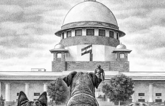 Supreme Court stray dog verdict