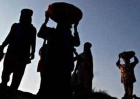 Migrant Labour Shortage