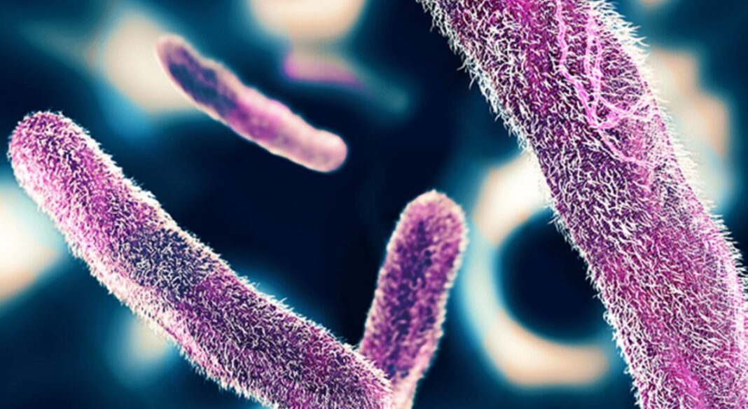 Two Children Diagnosed With Shigella