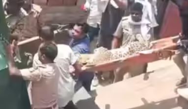 Leopard That Injured Three Villagers