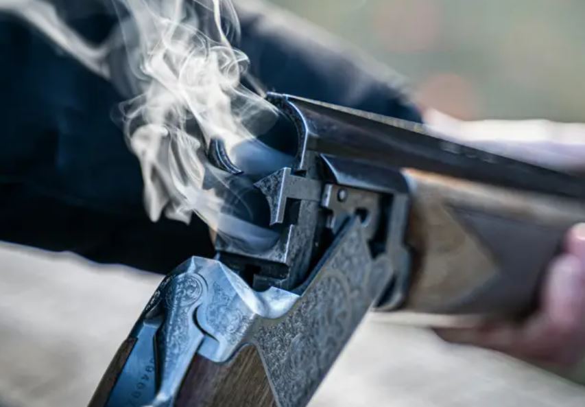 Dog Accidentally Fires Shotgun