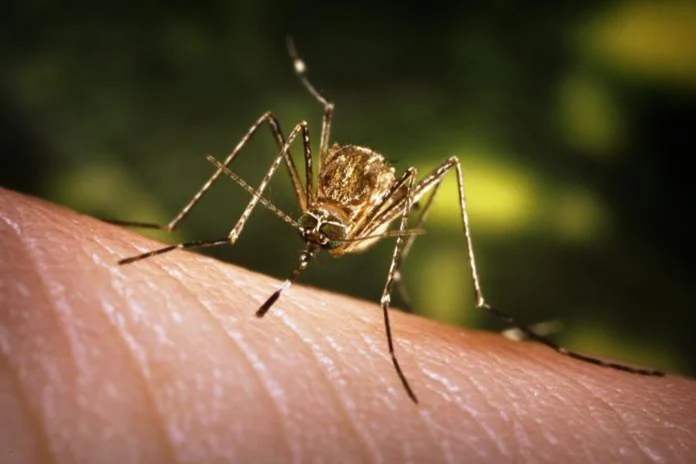 18767880-4400671563do Japanese Encephalitis Cherthala