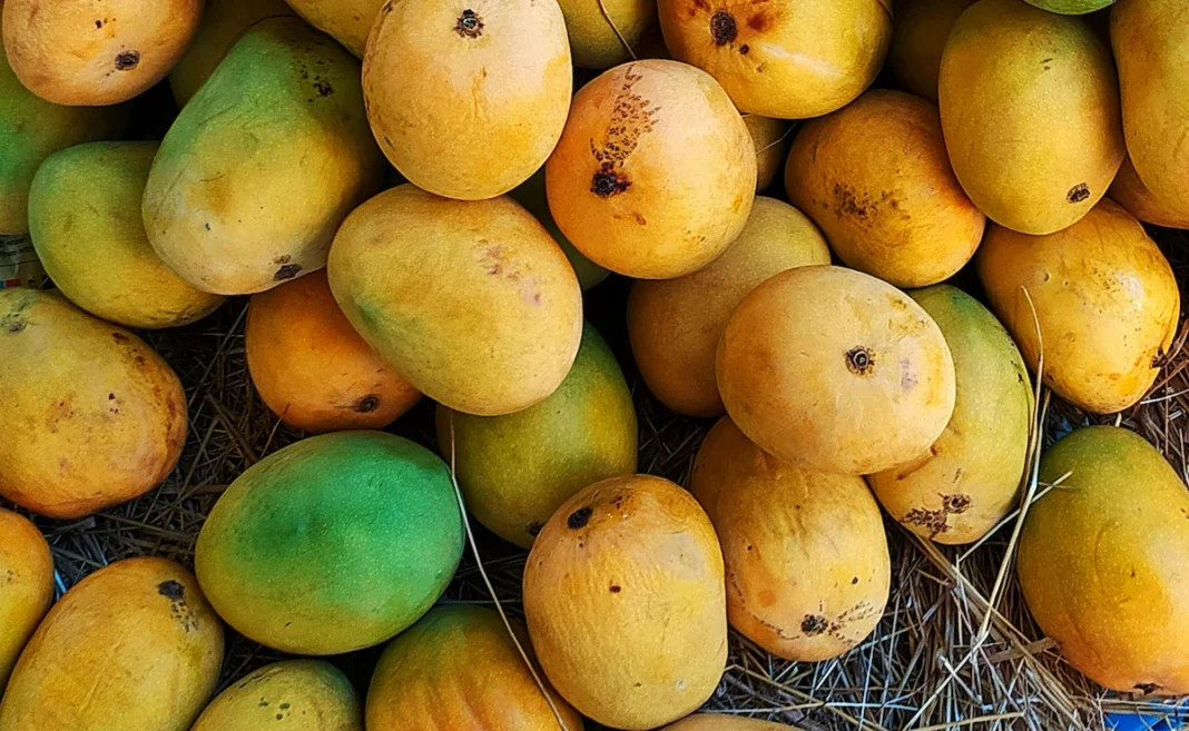 Artificial Fruit Ripening Ban