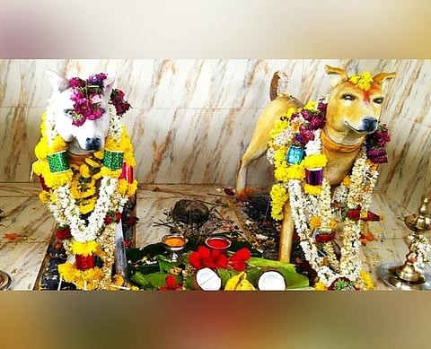 Channapatna Dog Temple