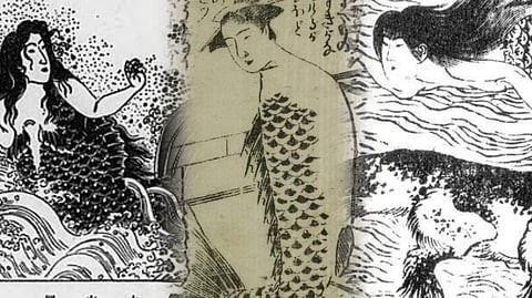 The Japanese legend of the Ningyo