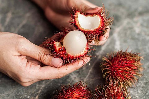 Rambutan Fruit